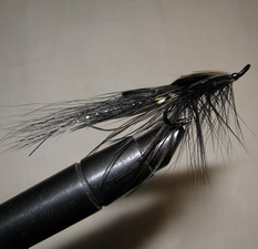 �������� ���� Shrimp  General  Practitioner Spey Black (�������  Kamasan Salmon black)  � 6 